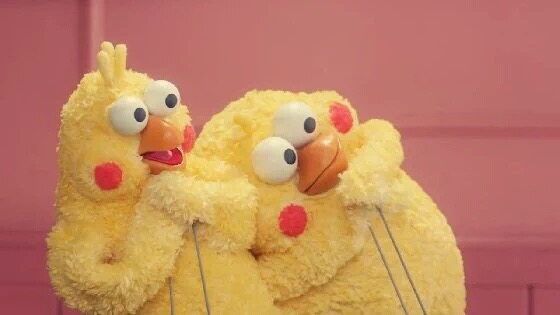 現在好きな動物ランキング1位の動物