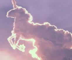 現在好きな動物ランキング1位の動物