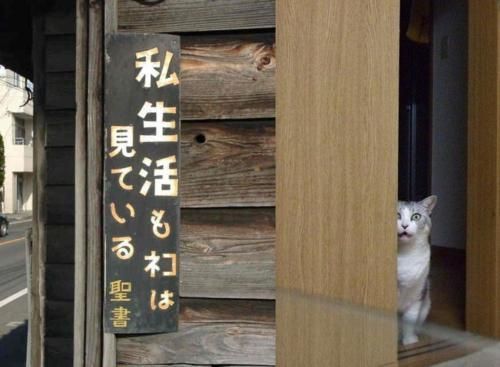 街で見かけた変なもの