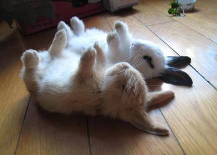 幸せそうな画像ください