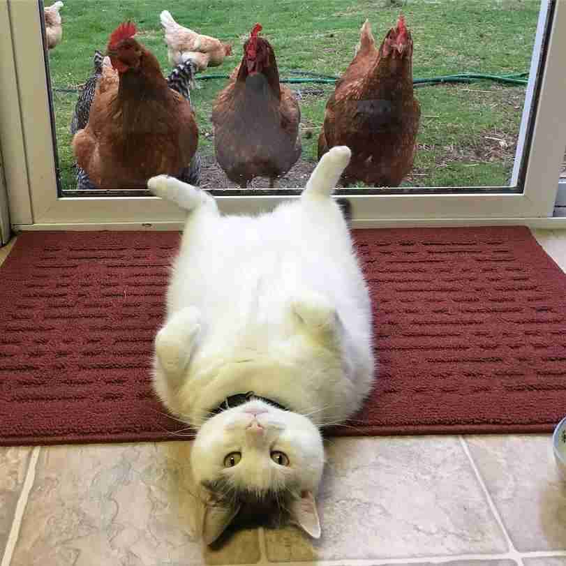 幸せそうな画像ください