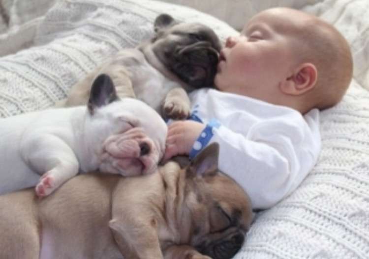 幸せそうな画像ください