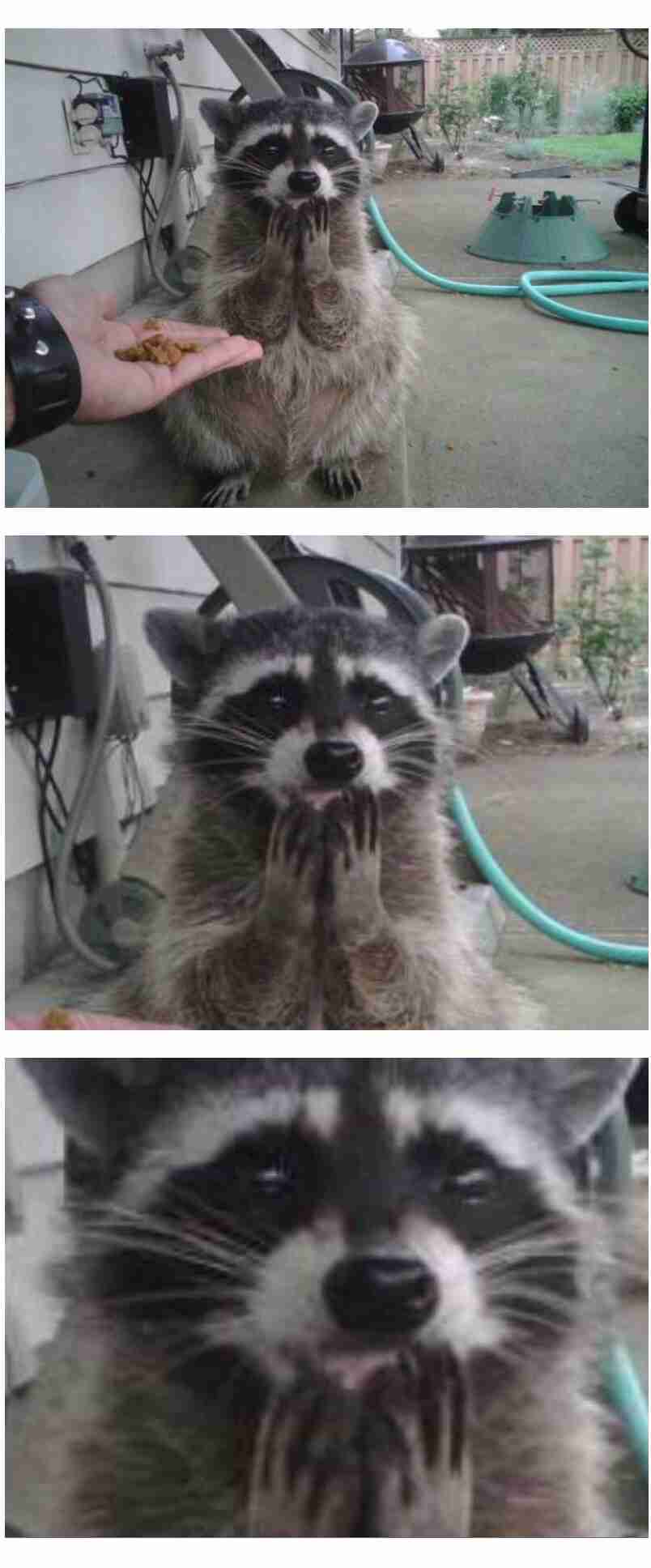 幸せそうな画像ください