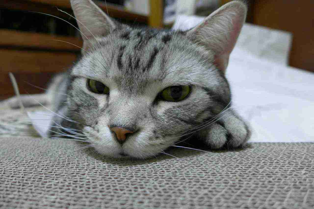 仕事中に眠くなった時の対処法