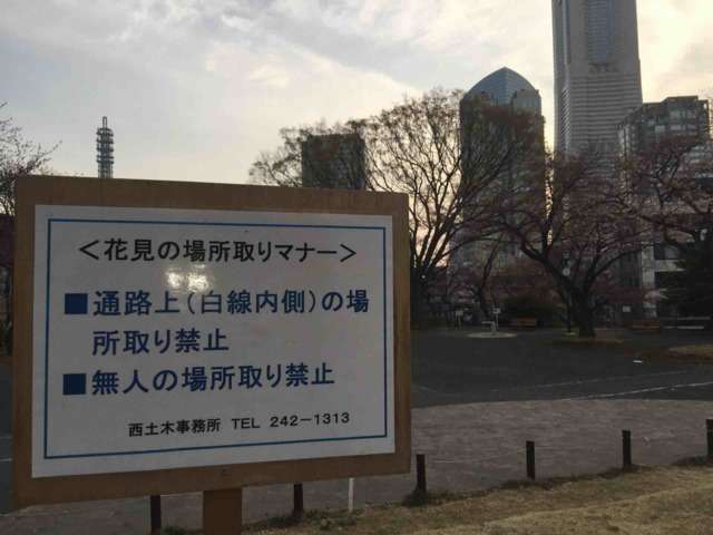 来週末は東京や福岡で桜が開花！上野恩賜公園は26日の予想