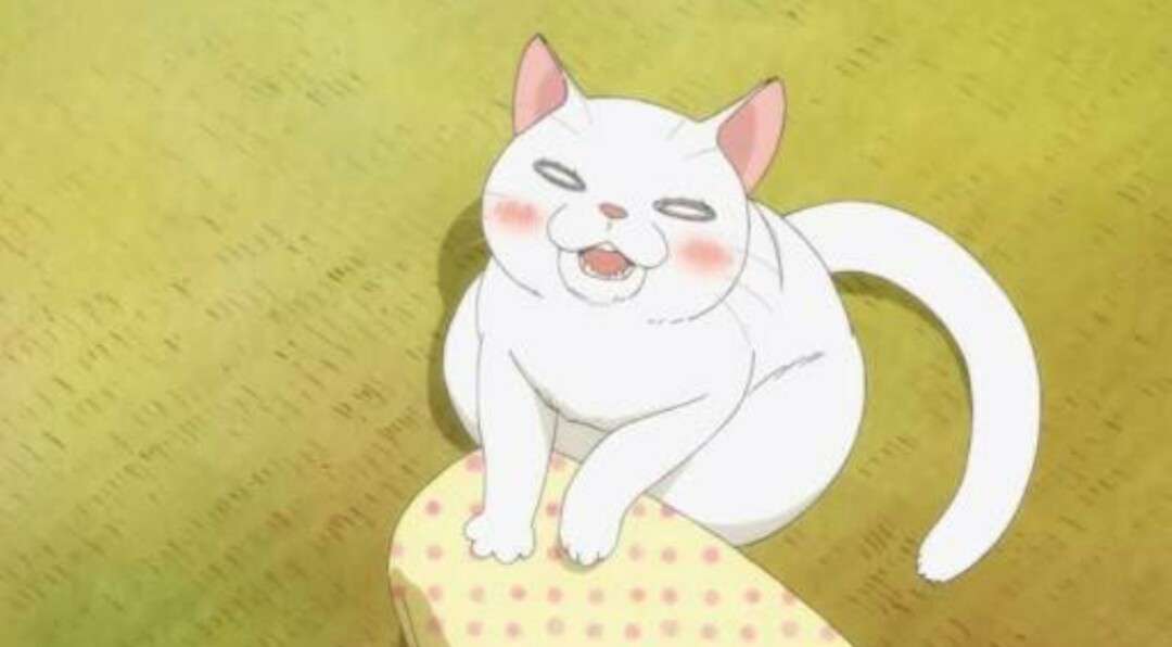 一番好きな猫キャラを教えてください
