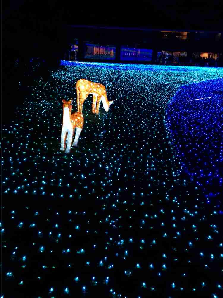 自分の地元のお気に入りの写真や画像を貼ろう♪