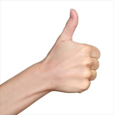 いろんなジェスチャーがみたい