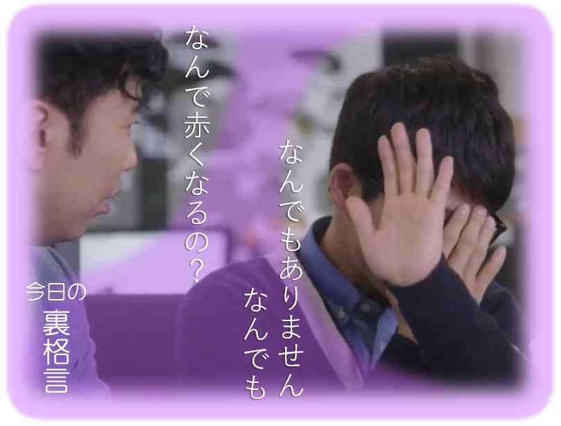 ドラマ【逃げるは恥だが役に立つ】好きな人！part2