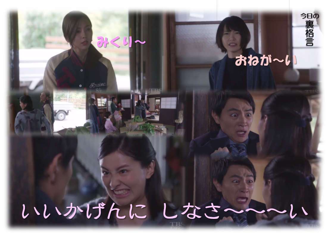 ドラマ【逃げるは恥だが役に立つ】好きな人！part2