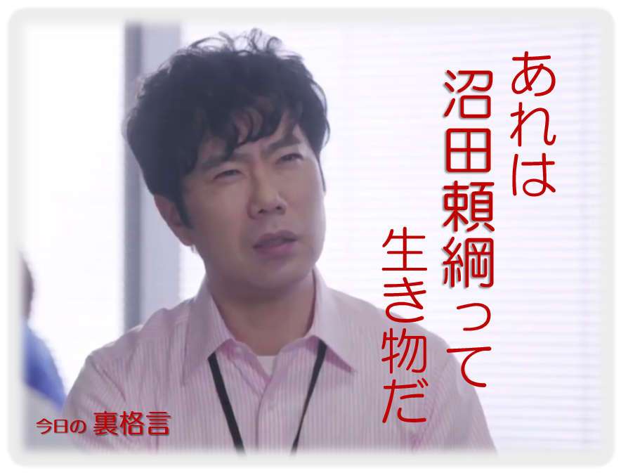 ドラマ【逃げるは恥だが役に立つ】好きな人！part2