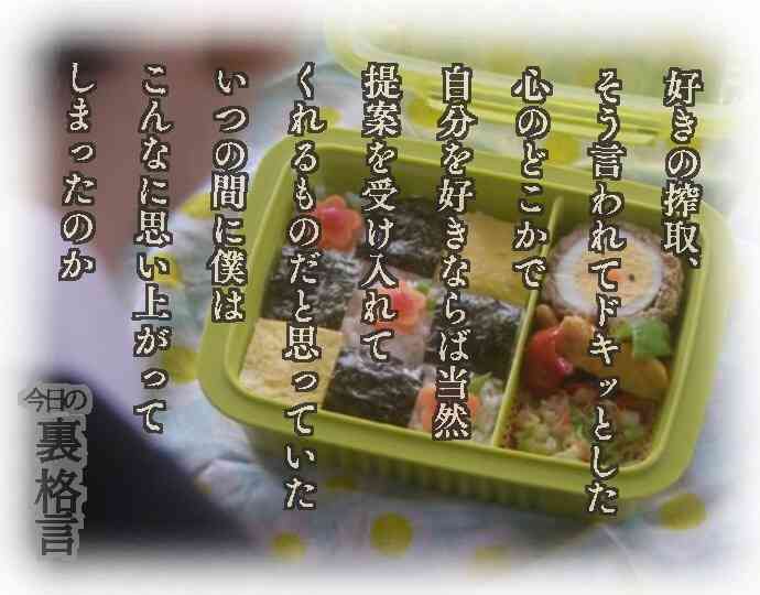 ドラマ【逃げるは恥だが役に立つ】好きな人！part2