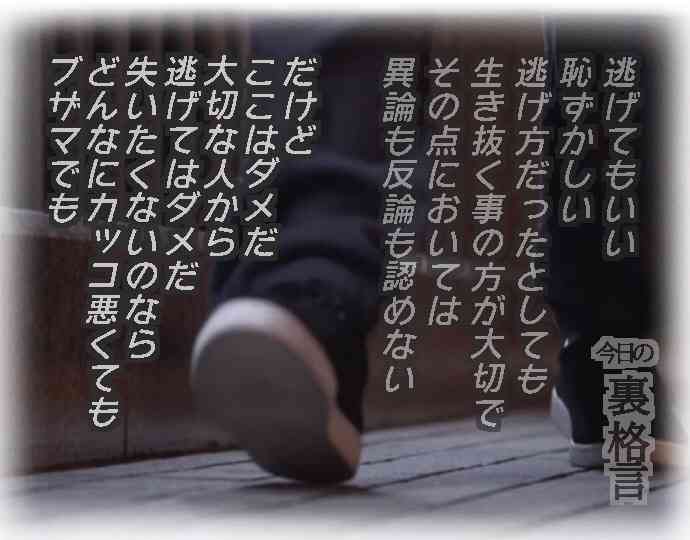 ドラマ【逃げるは恥だが役に立つ】好きな人！part2