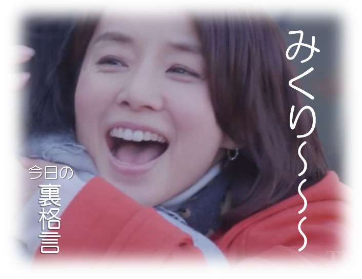 ドラマ【逃げるは恥だが役に立つ】好きな人！part2