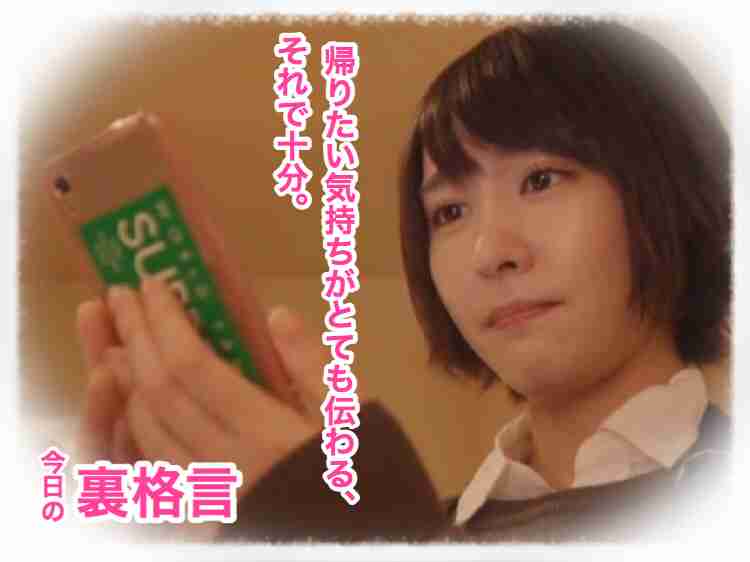 ドラマ【逃げるは恥だが役に立つ】好きな人！part2