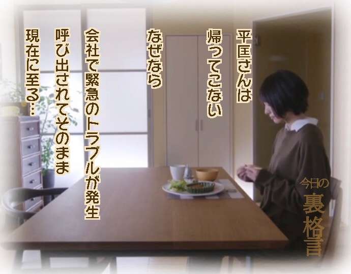 ドラマ【逃げるは恥だが役に立つ】好きな人！part2