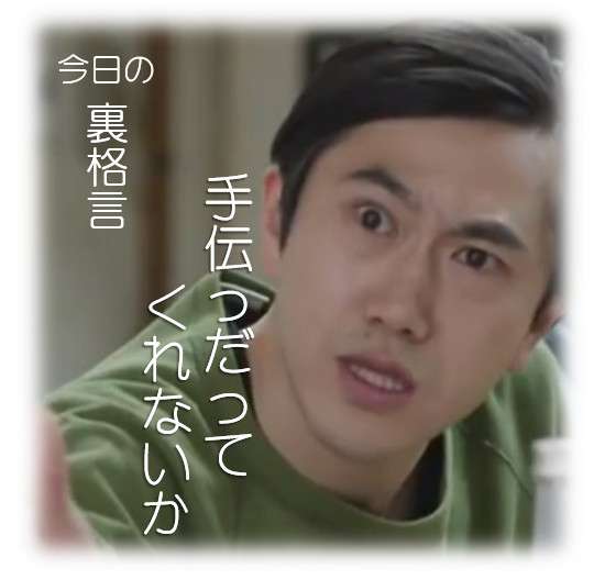 ドラマ【逃げるは恥だが役に立つ】好きな人！part2