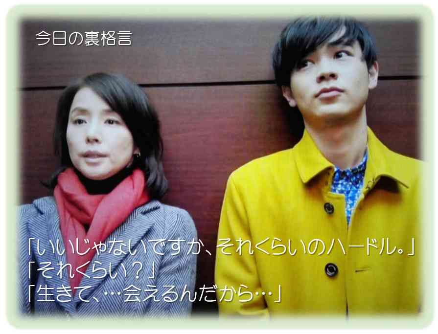 ドラマ【逃げるは恥だが役に立つ】好きな人！part2