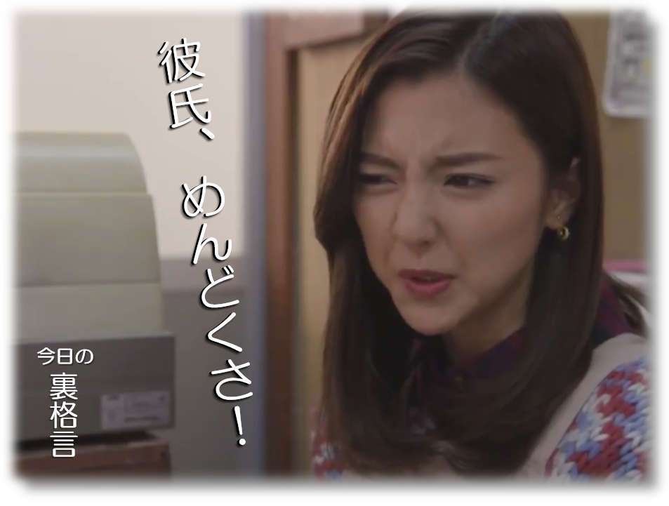 ドラマ【逃げるは恥だが役に立つ】好きな人！part2