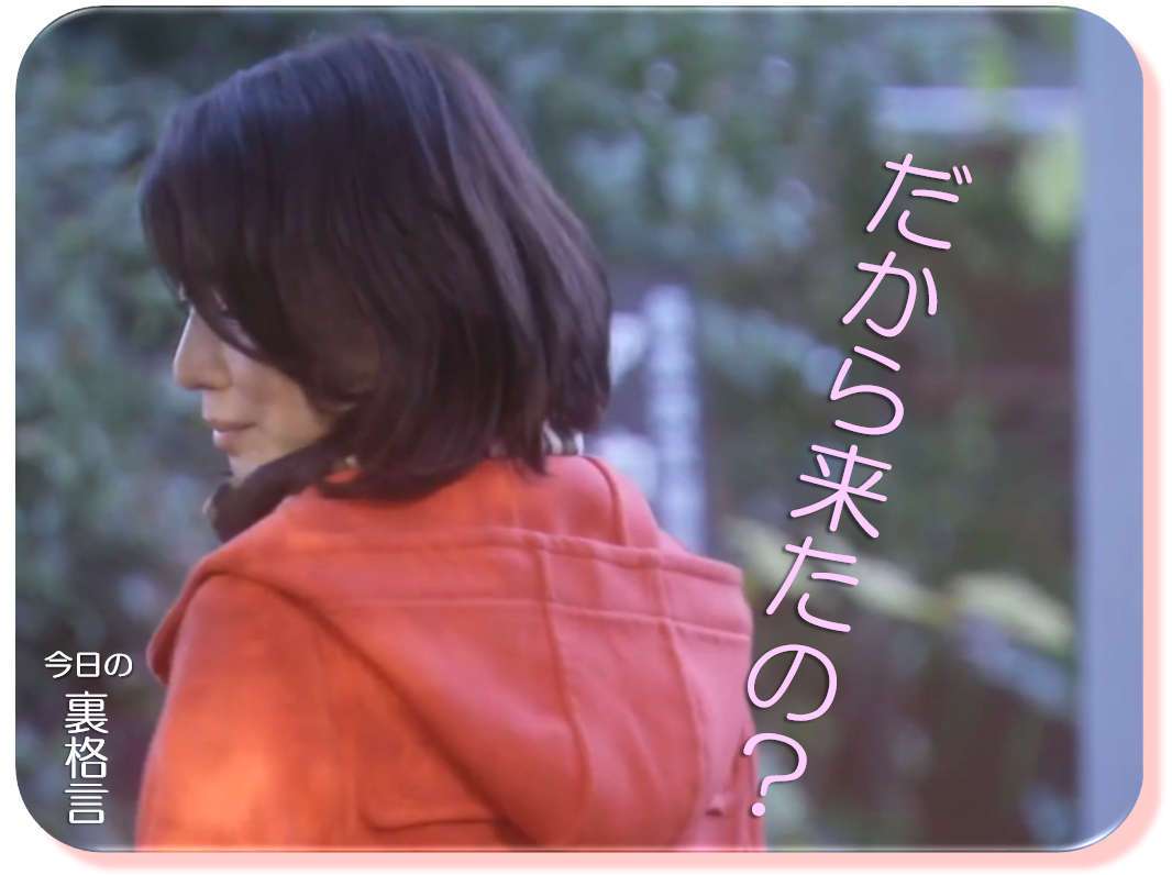 ドラマ【逃げるは恥だが役に立つ】好きな人！part2