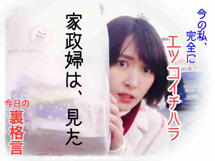 ドラマ【逃げるは恥だが役に立つ】好きな人！part2