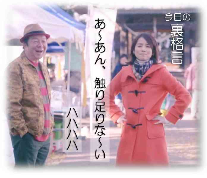 ドラマ【逃げるは恥だが役に立つ】好きな人！part2