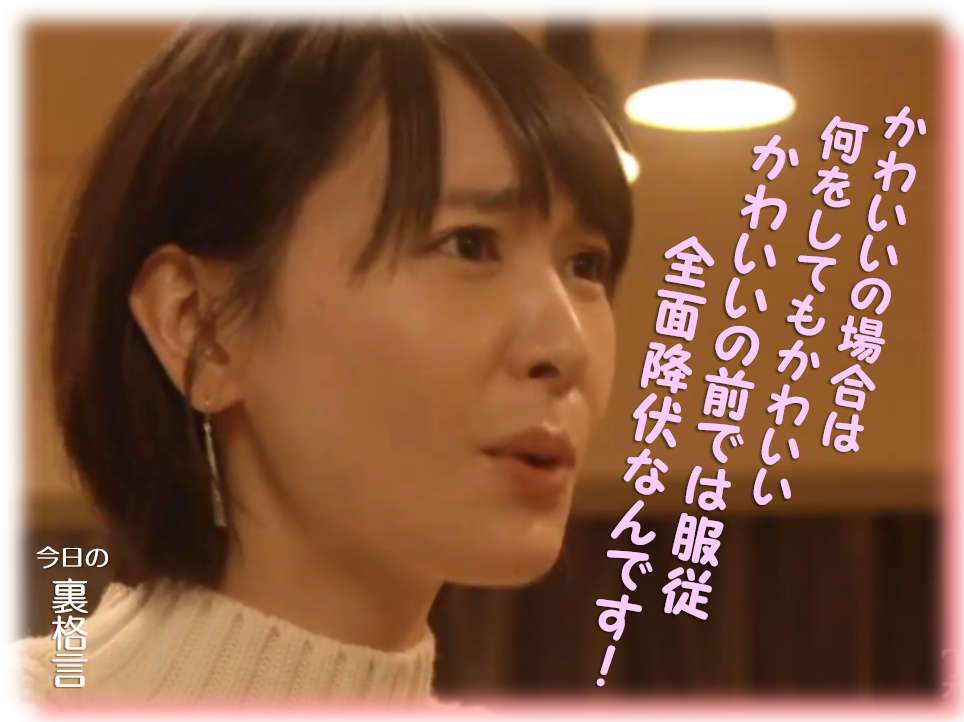 ドラマ【逃げるは恥だが役に立つ】好きな人！part2