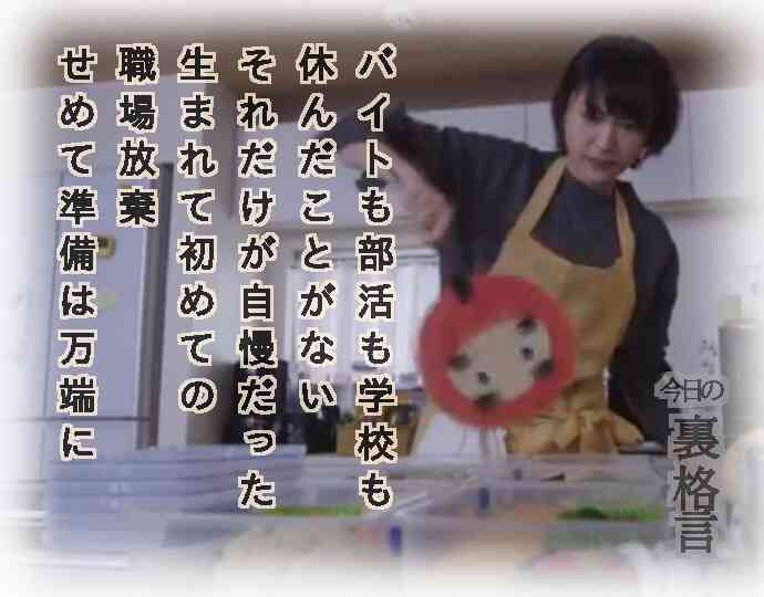 ドラマ【逃げるは恥だが役に立つ】好きな人！part2