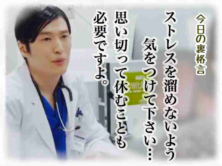ドラマ【逃げるは恥だが役に立つ】好きな人！part2