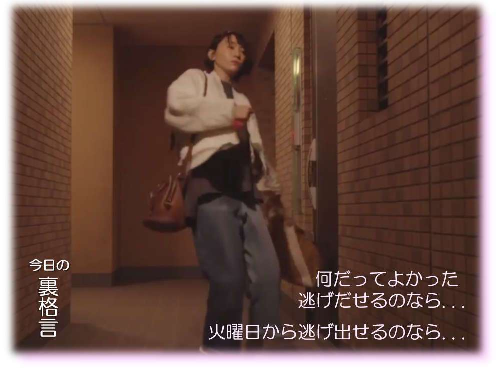 ドラマ【逃げるは恥だが役に立つ】好きな人！part2
