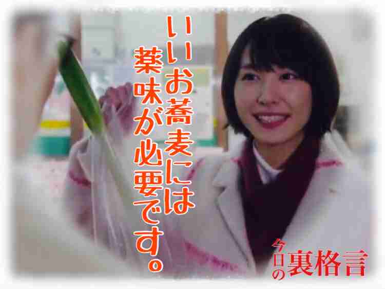 ドラマ【逃げるは恥だが役に立つ】好きな人！part2