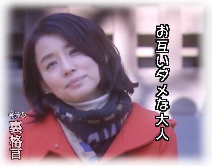 ドラマ【逃げるは恥だが役に立つ】好きな人！part2