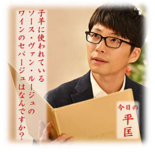 ドラマ【逃げるは恥だが役に立つ】好きな人！part2