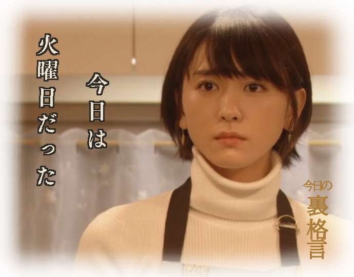 ドラマ【逃げるは恥だが役に立つ】好きな人！part2