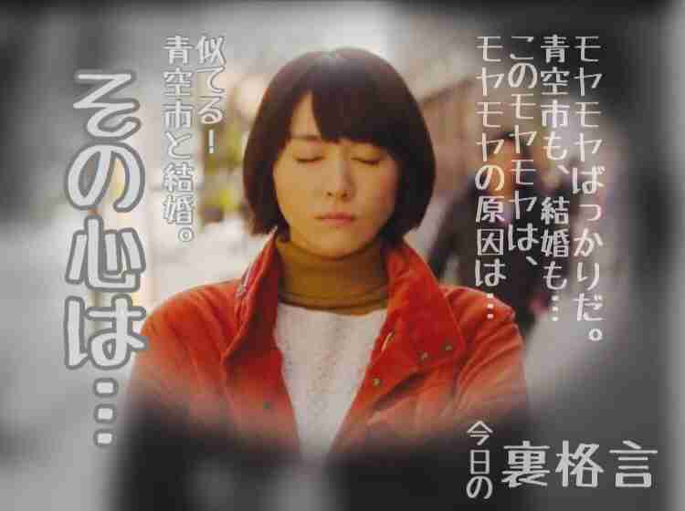 ドラマ【逃げるは恥だが役に立つ】好きな人！part2