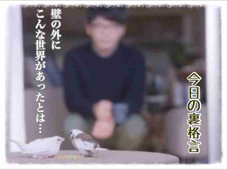 ドラマ【逃げるは恥だが役に立つ】好きな人！part2