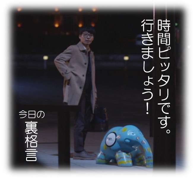ドラマ【逃げるは恥だが役に立つ】好きな人！part2