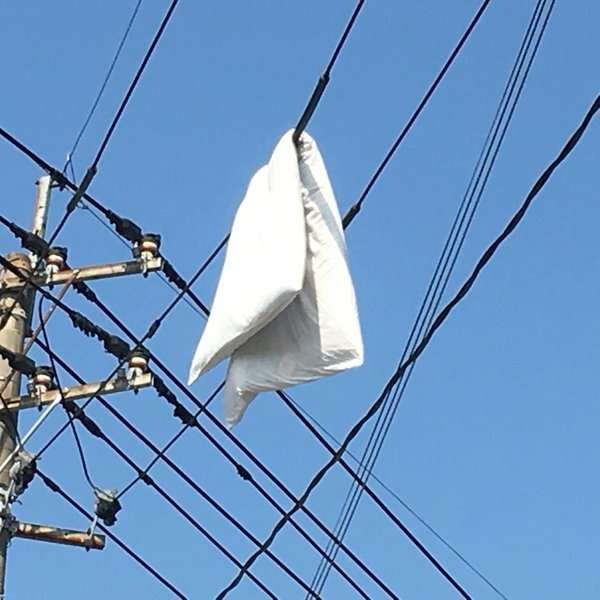 布団どこに干しますか？