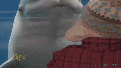 お気に入りのGIF画像を貼っていくトピ