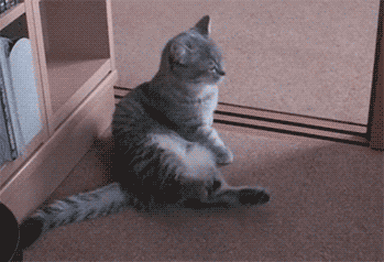 お気に入りのGIF画像を貼っていくトピ