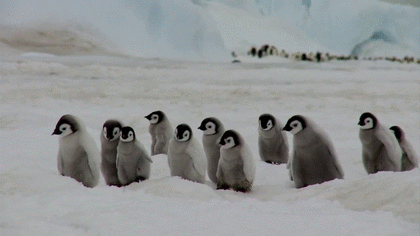 お気に入りのGIF画像を貼っていくトピ