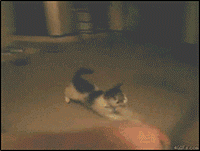 お気に入りのGIF画像を貼っていくトピ