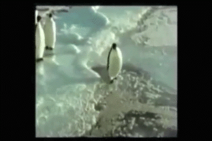 お気に入りのGIF画像を貼っていくトピ