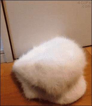 お気に入りのGIF画像を貼っていくトピ