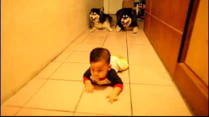 お気に入りのGIF画像を貼っていくトピ