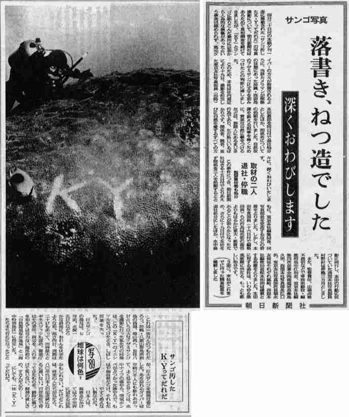 信頼できるマスコミは?