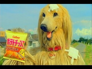 好きなCMキャラクター