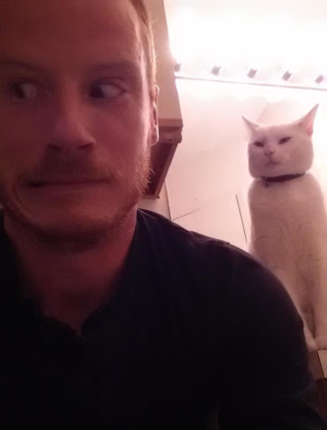 超絶目つき悪い猫の画像!