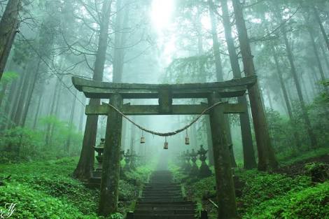 熊本のオススメ