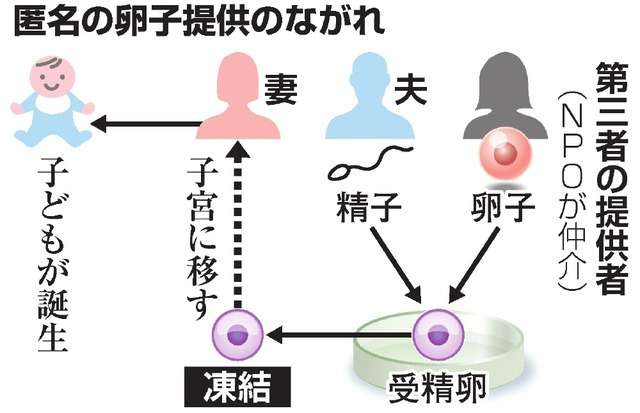 匿名の第三者の卵子で女児誕生　国内初の体外受精